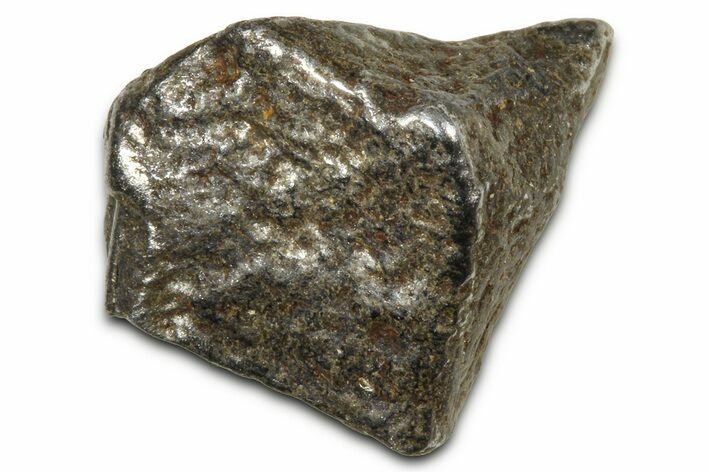 Gibeon Iron Meteorite ( g) - Namibia #378734